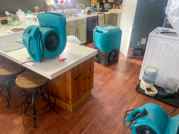 Best Flood damage cleanup  in Gahanna, OH