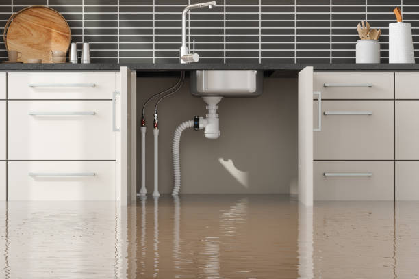 Best Water damage contractors near me  in Gahanna, OH
